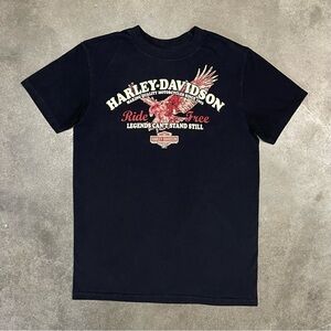 Vintage Harley Davidson Graphic 2010 Biker Grunge T-shirt